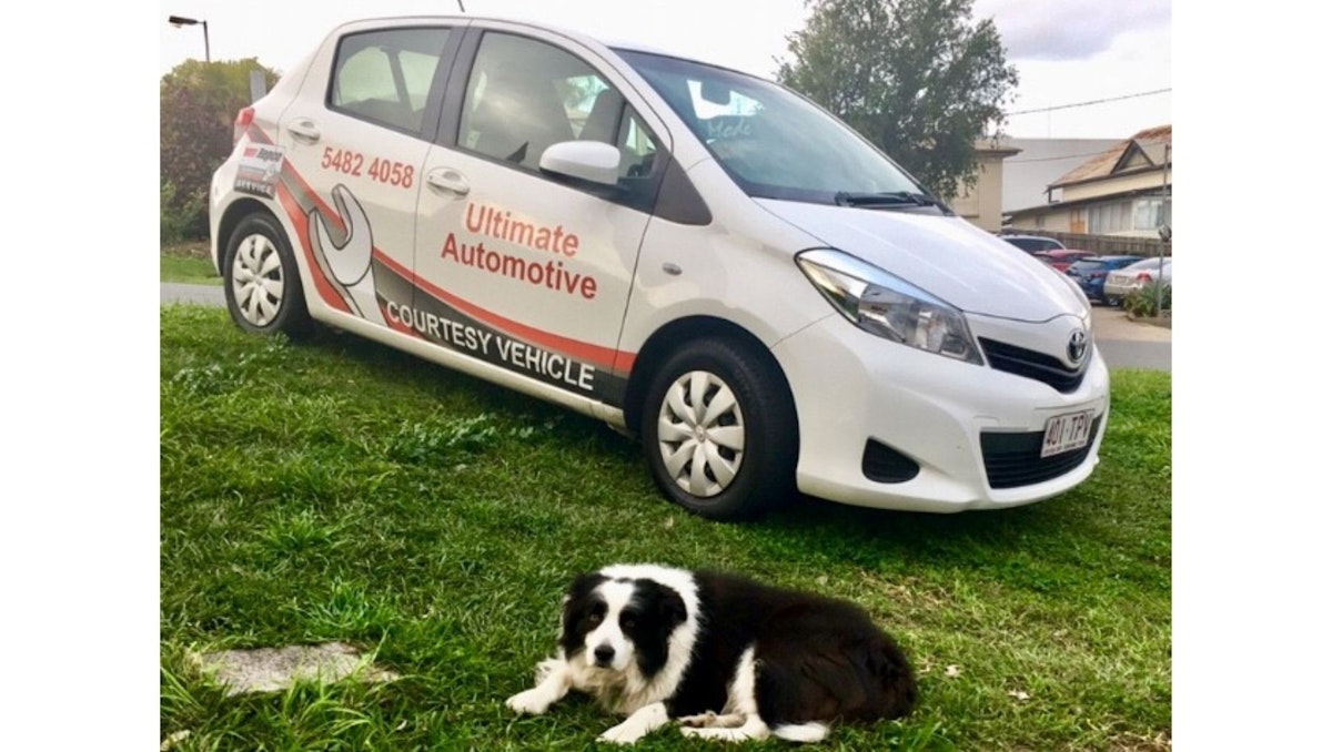 Joey Chief Metter and Greeter at Ultimate Automotive